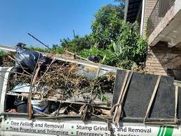 Property Management Cleanouts in Arvada, CO