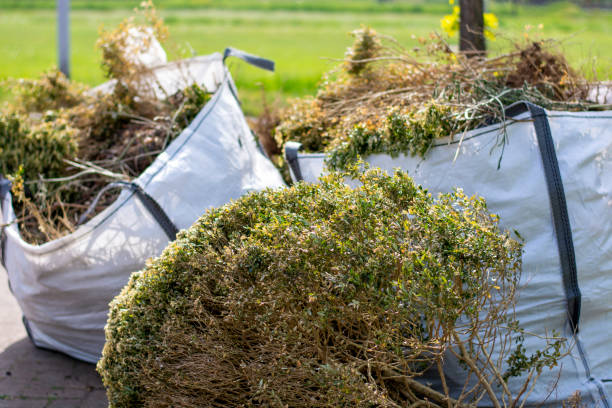 Best Construction Debris Removal  in Arvada, CO