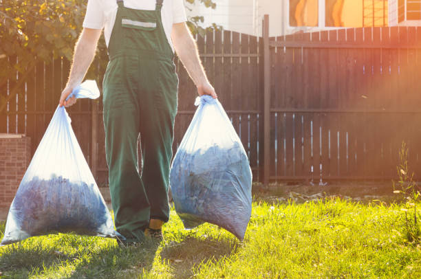 Best Basement Cleanout  in Arvada, CO